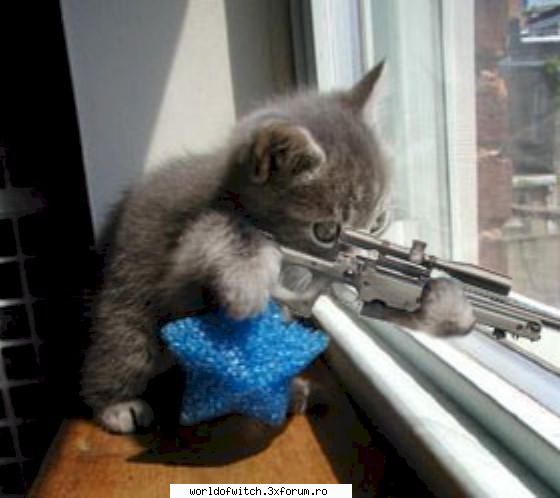 chat special