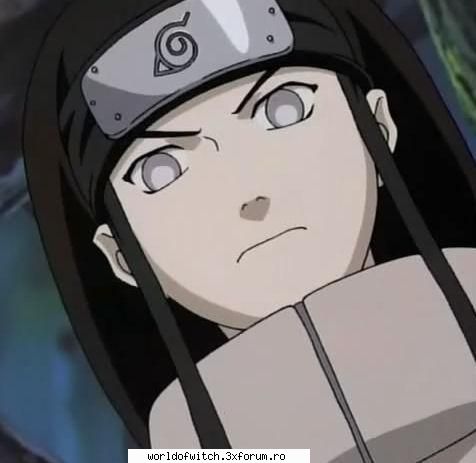 neji galerie