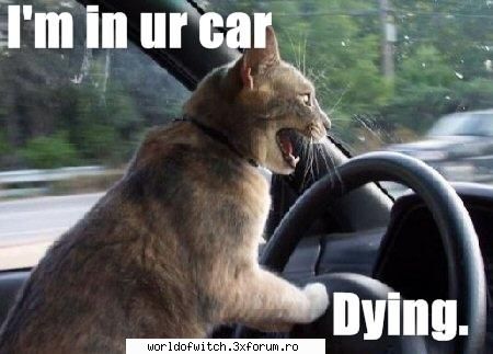 defapt nu e cute  :uimit: 
aku am citit ce  :rotfl: 
ce matza rea  :rotfl: 
ti-o furat masina