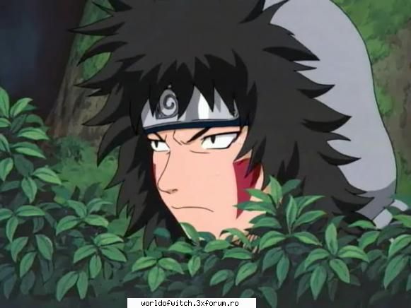 Poze cu Kiba - kagome_anime - Naruto